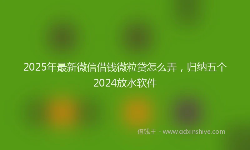 2025年最新微信借钱微粒贷怎么弄，归纳五个2024放水软件