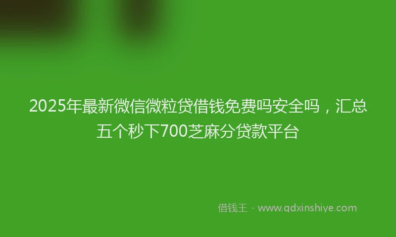 2025年最新微信微粒贷借钱免费吗安全吗，汇总五个秒下700芝麻分贷款平台