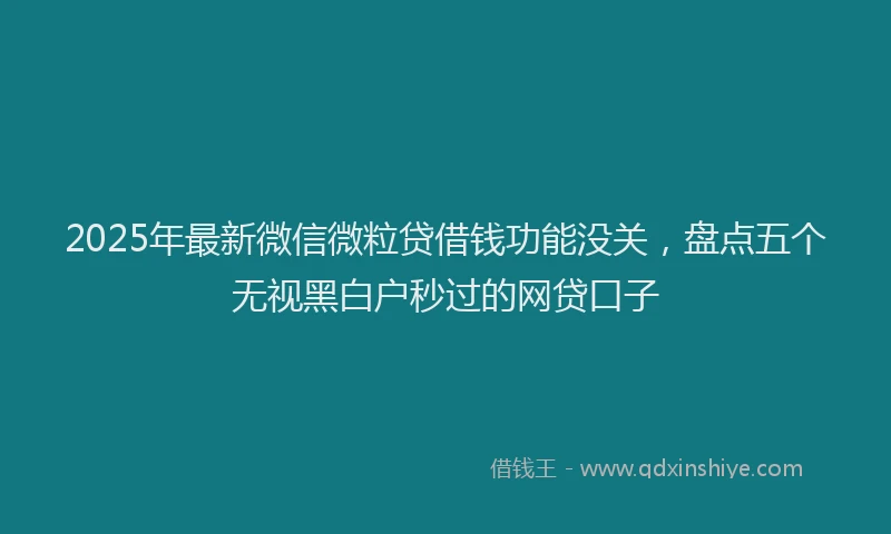 2025年最新微信微粒贷借钱功能没关，盘点五个无视黑白户秒过的网贷口子
