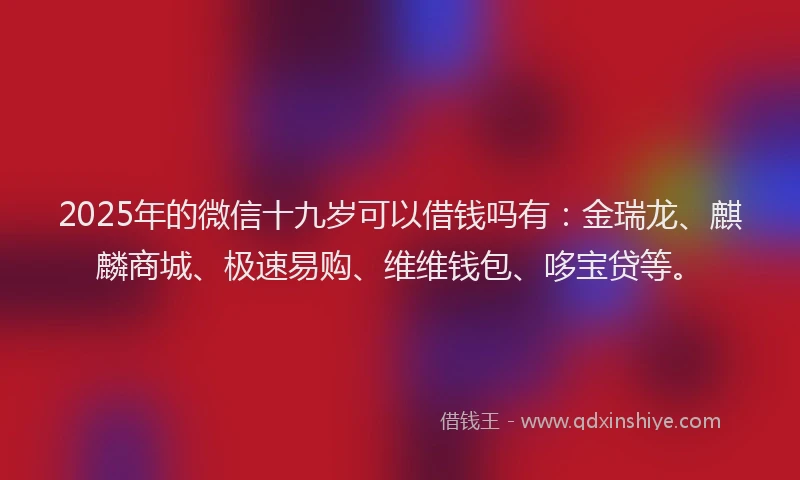 2025年的微信十九岁可以借钱吗有：金瑞龙、麒麟商城、极速易购、维维钱包、哆宝贷等。