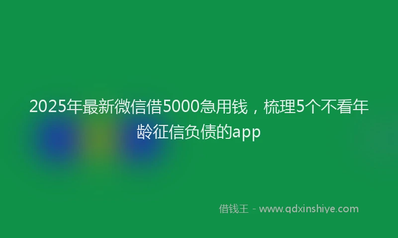 2025年最新微信借5000急用钱，梳理5个不看年龄征信负债的app
