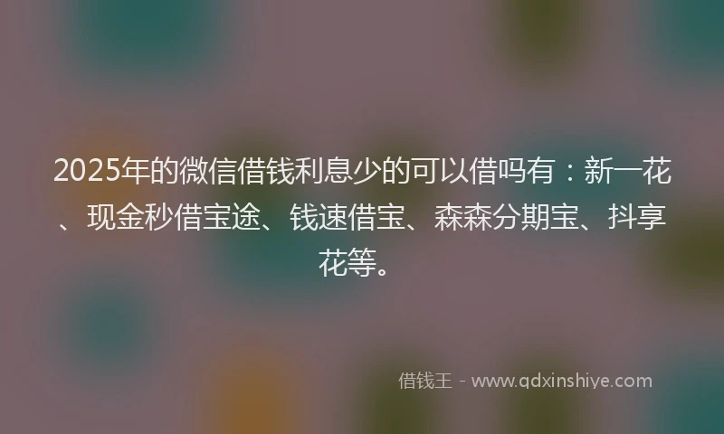 2025年的微信借钱利息少的可以借吗有：新一花、现金秒借宝途、钱速借宝、森森分期宝、抖享花等。