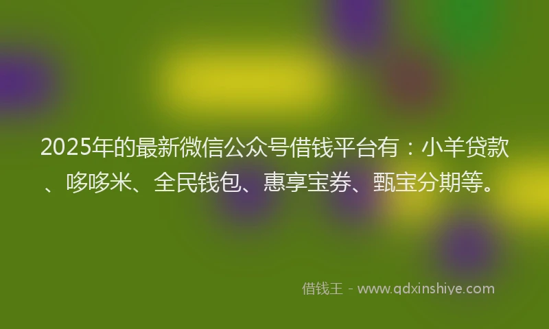 2025年的最新微信公众号借钱平台有：小羊贷款、哆哆米、全民钱包、惠享宝券、甄宝分期等。