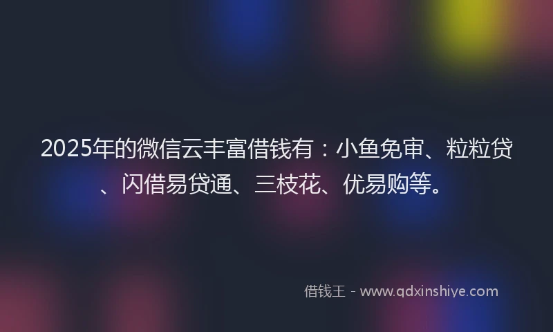 2025年的微信云丰富借钱有：小鱼免审、粒粒贷、闪借易贷通、三枝花、优易购等。