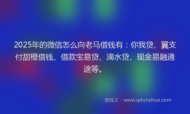 2025年的微信怎么向老马借钱有：你我贷、翼支付甜橙借钱、借款宝易贷、滴水贷、现金易融通途等。