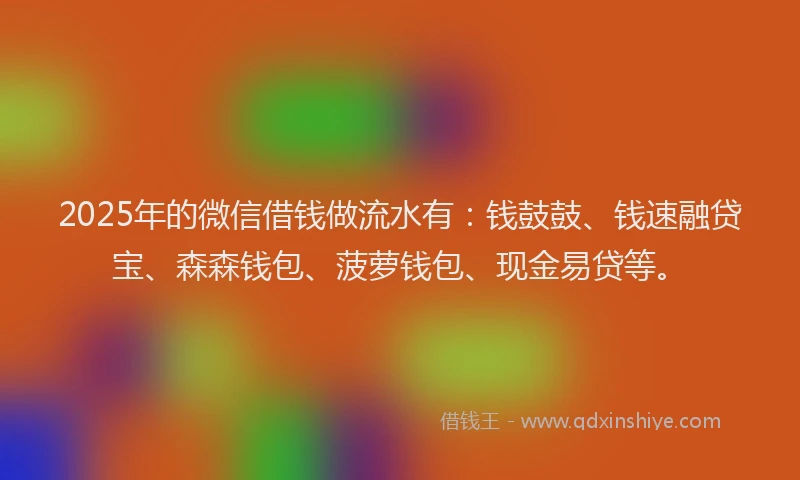 2025年的微信借钱做流水有：钱鼓鼓、钱速融贷宝、森森钱包、菠萝钱包、现金易贷等。