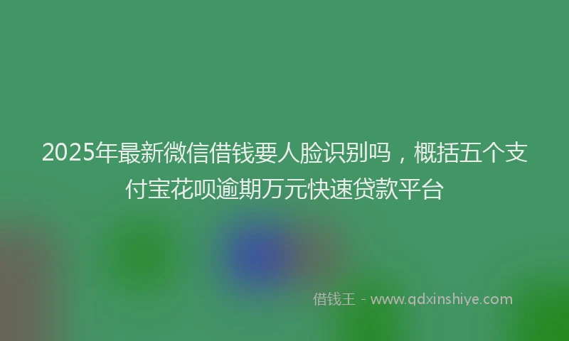 2025年最新微信借钱要人脸识别吗，概括五个支付宝花呗逾期万元快速贷款平台