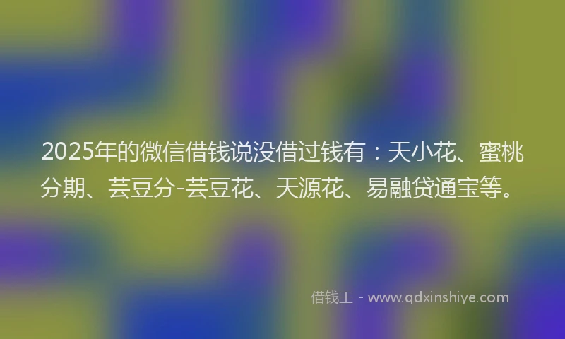 2025年的微信借钱说没借过钱有：天小花、蜜桃分期、芸豆分-芸豆花、天源花、易融贷通宝等。