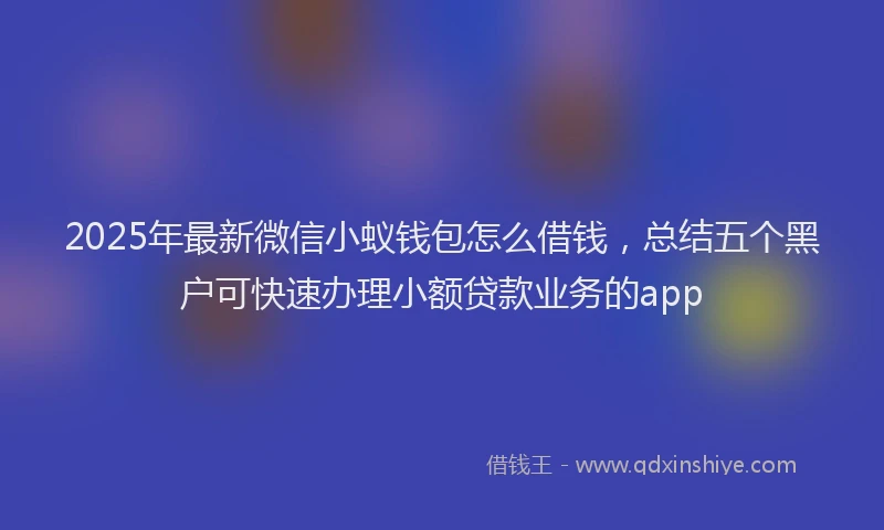 2025年最新微信小蚁钱包怎么借钱，总结五个黑户可快速办理小额贷款业务的app