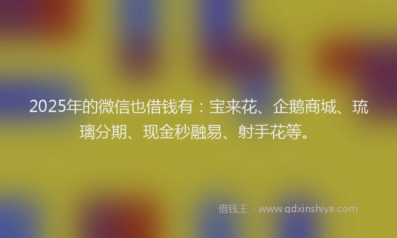 2025年的微信也借钱有：宝来花、企鹅商城、琉璃分期、现金秒融易、射手花等。