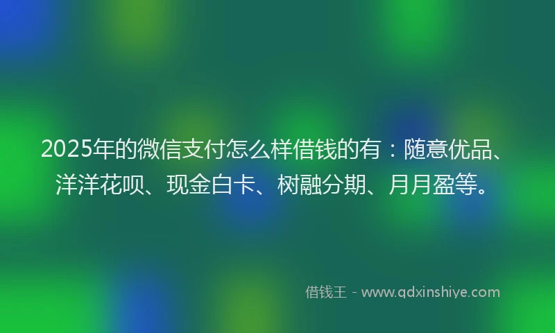 2025年的微信支付怎么样借钱的有：随意优品、洋洋花呗、现金白卡、树融分期、月月盈等。