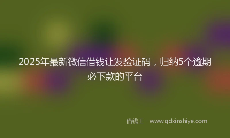2025年最新微信借钱让发验证码，归纳5个逾期必下款的平台