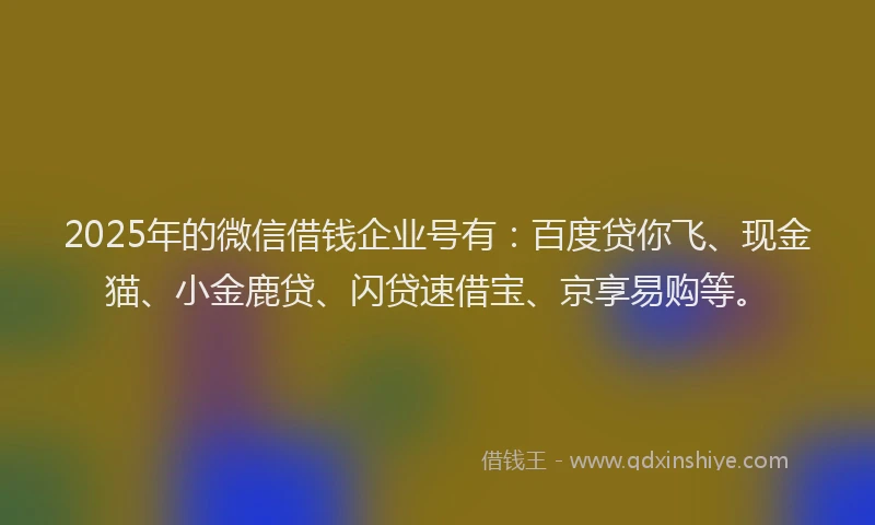 2025年的微信借钱企业号有：百度贷你飞、现金猫、小金鹿贷、闪贷速借宝、京享易购等。