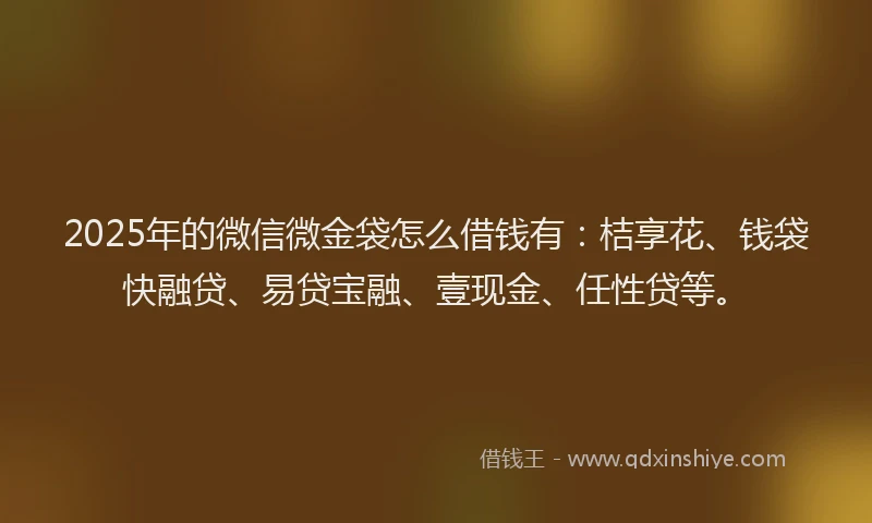 2025年的微信微金袋怎么借钱有：桔享花、钱袋快融贷、易贷宝融、壹现金、任性贷等。