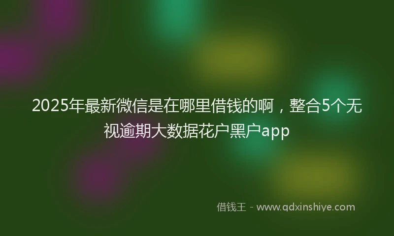 2025年最新微信是在哪里借钱的啊，整合5个无视逾期大数据花户黑户app