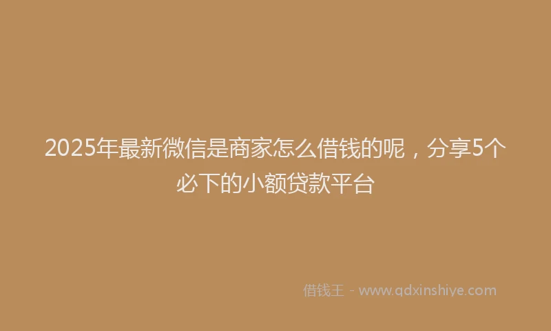 2025年最新微信是商家怎么借钱的呢，分享5个必下的小额贷款平台