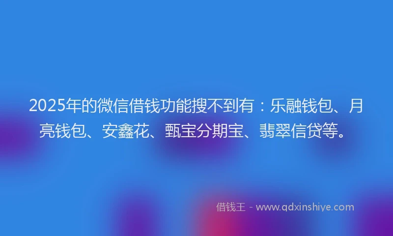 2025年的微信借钱功能搜不到有：乐融钱包、月亮钱包、安鑫花、甄宝分期宝、翡翠信贷等。