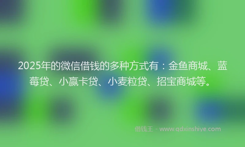 2025年的微信借钱的多种方式有:金鱼商城、蓝莓贷、小赢卡贷、小麦粒贷、招宝商城等。