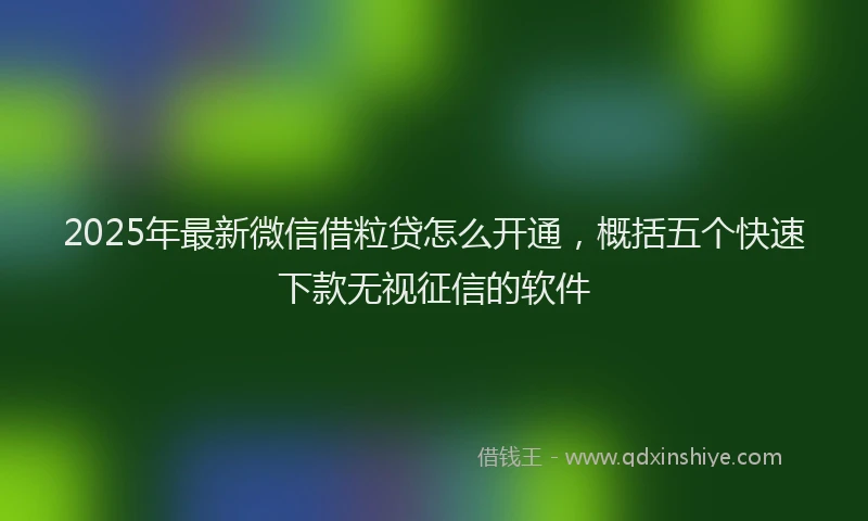 2025年最新微信借粒贷怎么开通，概括五个快速下款无视征信的软件