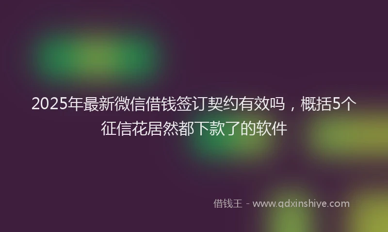 2025年最新微信借钱签订契约有效吗，概括5个征信花居然都下款了的软件