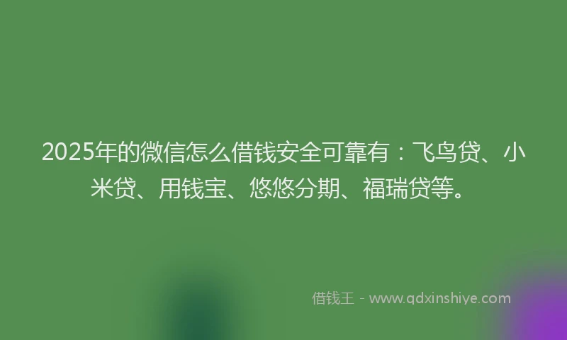 2025年的微信怎么借钱安全可靠有：飞鸟贷、小米贷、用钱宝、悠悠分期、福瑞贷等。