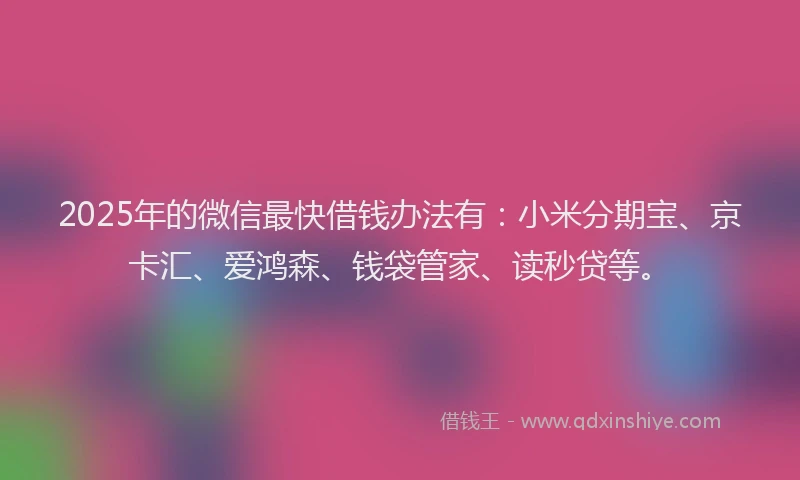 2025年的微信最快借钱办法有：小米分期宝、京卡汇、爱鸿森、钱袋管家、读秒贷等。