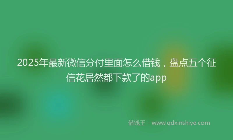 2025年最新微信分付里面怎么借钱，盘点五个征信花居然都下款了的app