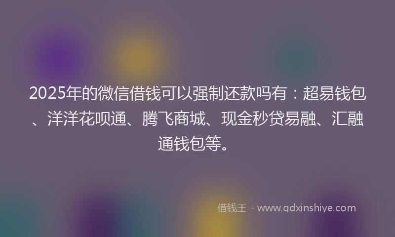 2025年的微信借钱可以强制还款吗有：超易钱包、洋洋花呗通、腾飞商城、现金秒贷易融、汇融通钱包等。