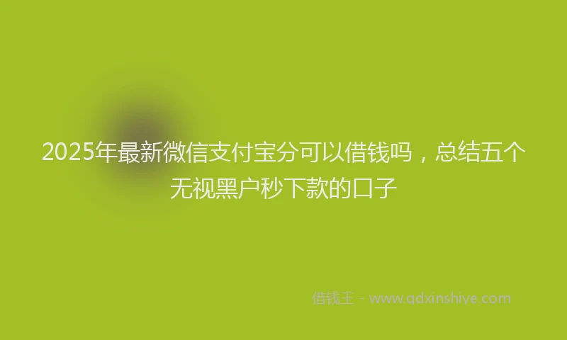 2025年最新微信支付宝分可以借钱吗，总结五个无视黑户秒下款的口子