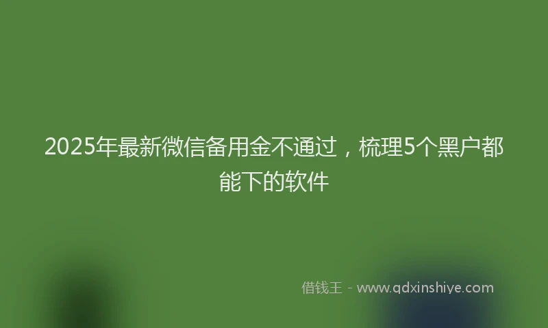 2025年最新微信备用金不通过，梳理5个黑户都能下的软件