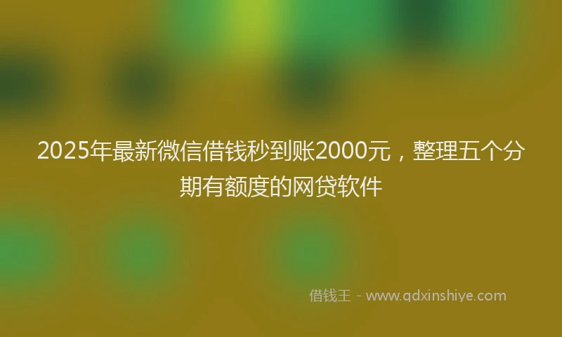 2025年最新微信借钱秒到账2000元，整理五个分期有额度的网贷软件