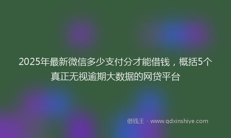 2025年最新微信多少支付分才能借钱，概括5个真正无视逾期大数据的网贷平台