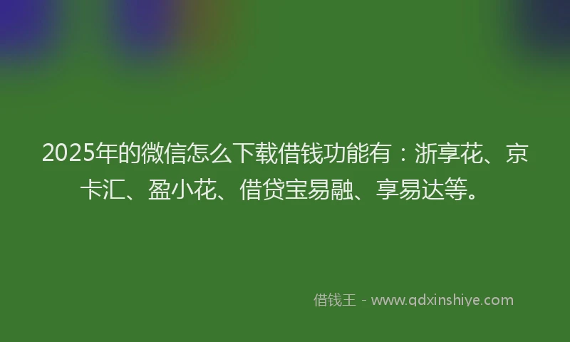 2025年的微信怎么下载借钱功能有：浙享花、京卡汇、盈小花、借贷宝易融、享易达等。