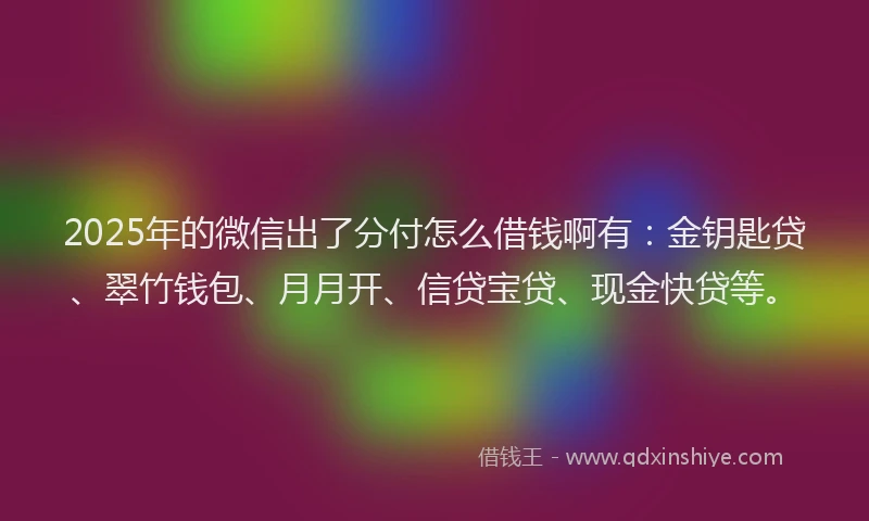 2025年的微信出了分付怎么借钱啊有：金钥匙贷、翠竹钱包、月月开、信贷宝贷、现金快贷等。