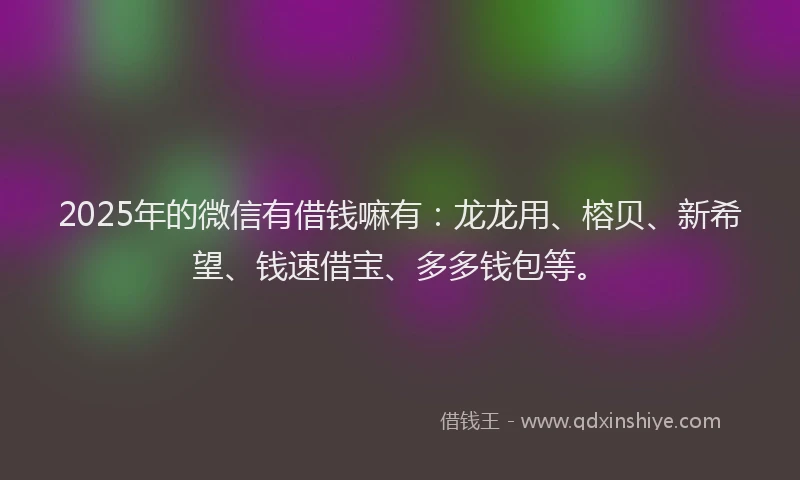 2025年的微信有借钱嘛有：龙龙用、榕贝、新希望、钱速借宝、多多钱包等。