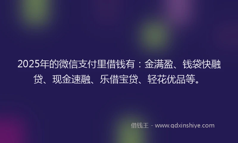 2025年的微信支付里借钱有：金满盈、钱袋快融贷、现金速融、乐借宝贷、轻花优品等。