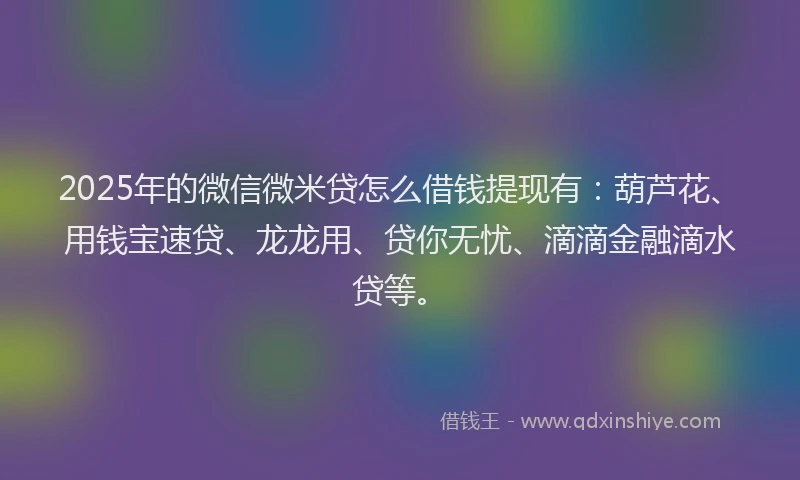 2025年的微信微米贷怎么借钱提现有：葫芦花、用钱宝速贷、龙龙用、贷你无忧、滴滴金融滴水贷等。