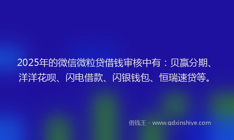 2025年的微信微粒贷借钱审核中有：贝赢分期、洋洋花呗、闪电借款、闪银钱包、恒瑞速贷等。