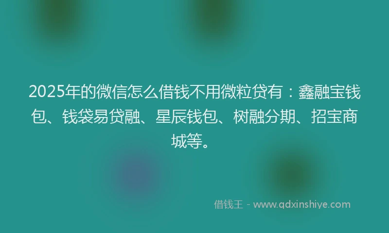 2025年的微信怎么借钱不用微粒贷有：鑫融宝钱包、钱袋易贷融、星辰钱包、树融分期、招宝商城等。