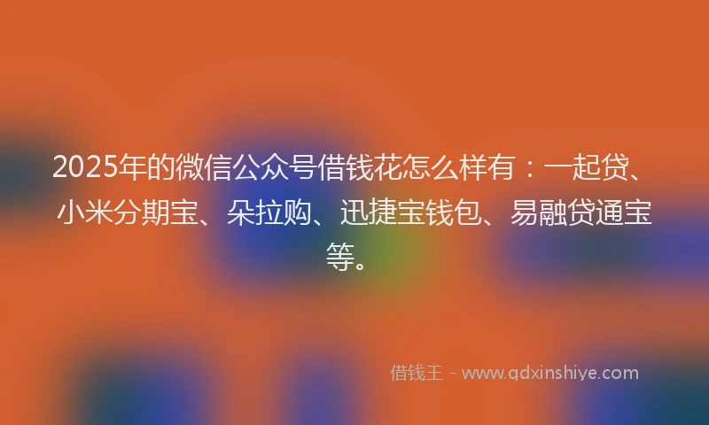 2025年的微信公众号借钱花怎么样有：一起贷、小米分期宝、朵拉购、迅捷宝钱包、易融贷通宝等。