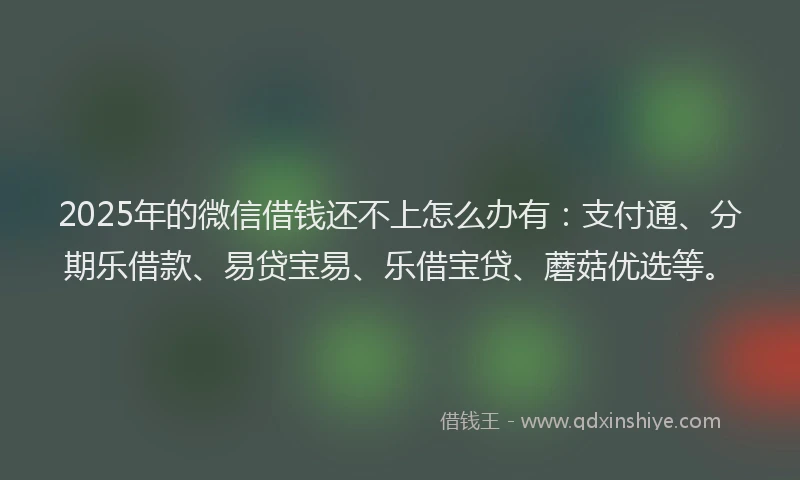 2025年的微信借钱还不上怎么办有：支付通、分期乐借款、易贷宝易、乐借宝贷、蘑菇优选等。