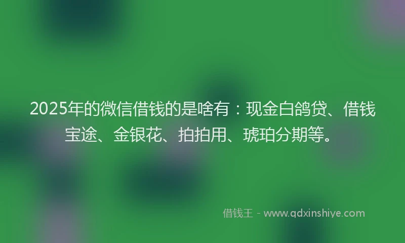 2025年的微信借钱的是啥有：现金白鸽贷、借钱宝途、金银花、拍拍用、琥珀分期等。