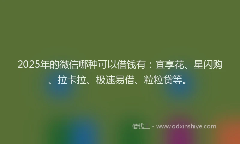 2025年的微信哪种可以借钱有：宜享花、星闪购、拉卡拉、极速易借、粒粒贷等。