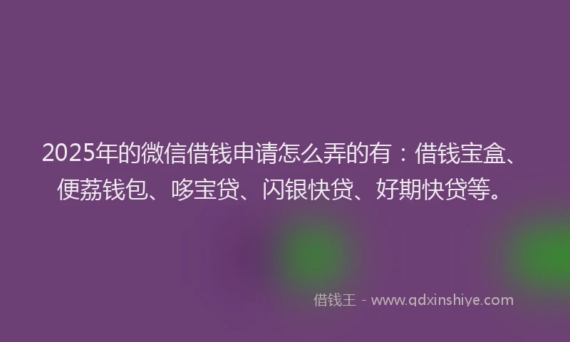 2025年的微信借钱申请怎么弄的有：借钱宝盒、便荔钱包、哆宝贷、闪银快贷、好期快贷等。
