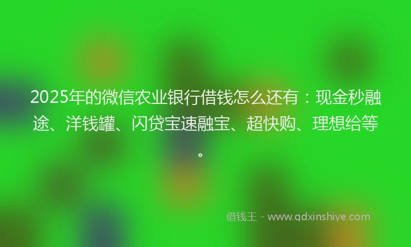 2025年的微信农业银行借钱怎么还有：现金秒融途、洋钱罐、闪贷宝速融宝、超快购、理想给等。