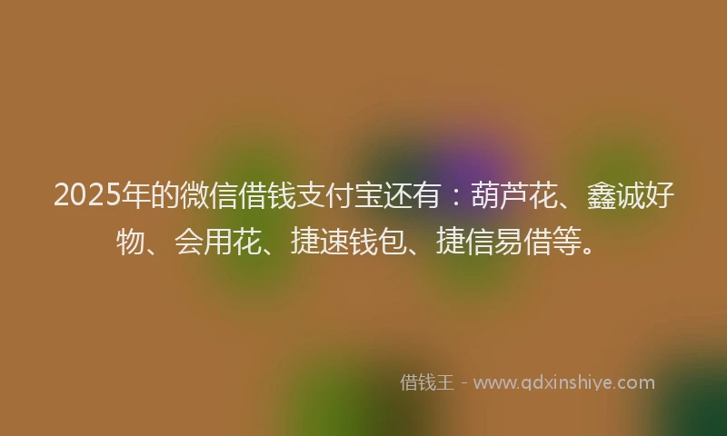 2025年的微信借钱支付宝还有：葫芦花、鑫诚好物、会用花、捷速钱包、捷信易借等。