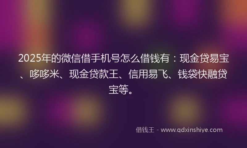 2025年的微信借手机号怎么借钱有：现金贷易宝、哆哆米、现金贷款王、信用易飞、钱袋快融贷宝等。