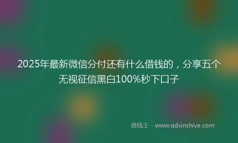 2025年最新微信分付还有什么借钱的，分享五个无视征信黑白100%秒下口子