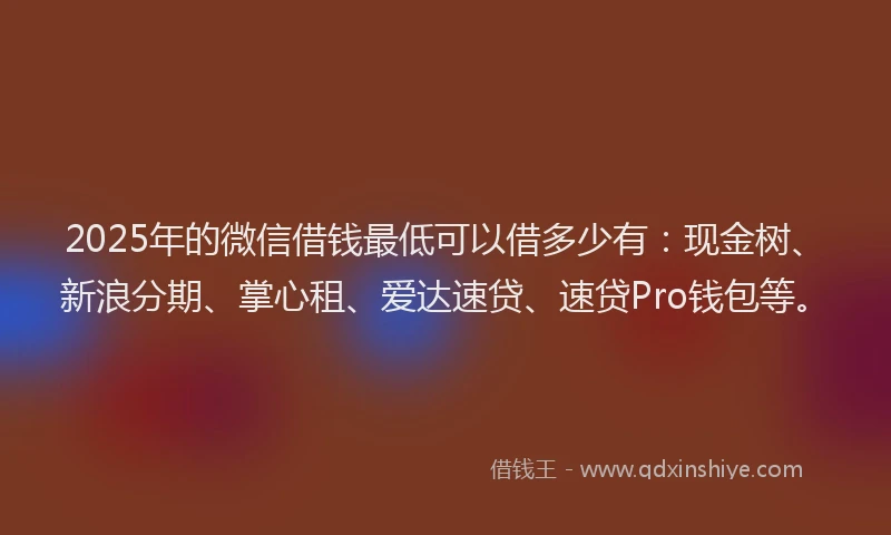 2025年的微信借钱最低可以借多少有：现金树、新浪分期、掌心租、爱达速贷、速贷Pro钱包等。
