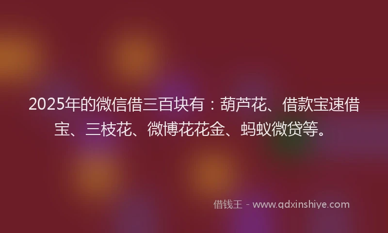 2025年的微信借三百块有：葫芦花、借款宝速借宝、三枝花、微博花花金、蚂蚁微贷等。